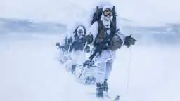 Кибератака заставила отключить систему ВС Швеции