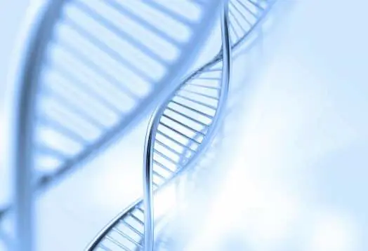 Появился хороший способ записи информации в ДНК