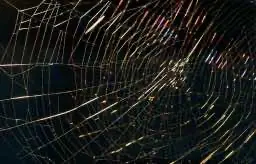 Может ли Википедия существовать в Darknet?