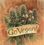 Фирма по производству канабиса выкупила целый город