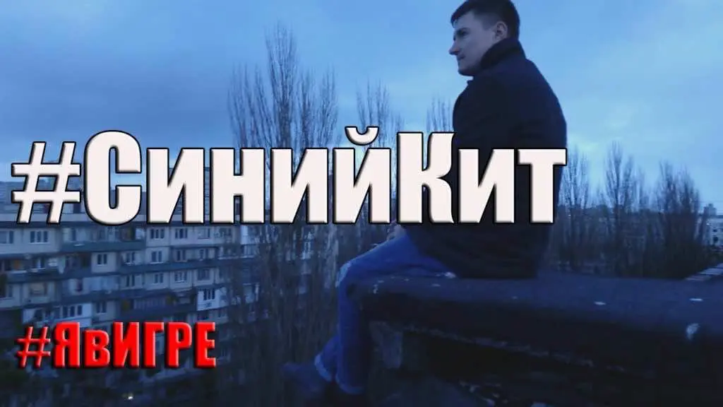 14 тысяч "групп смерти" заблокировал Роскомнадзор