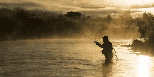 90-летнего российского профессора осудили за ловлю рыбы на коноплю