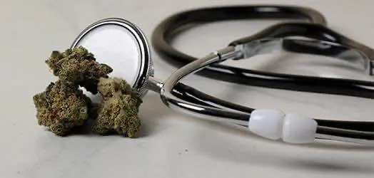 Церковь мормонов несколько поменяла свою позицию в отношении медицинской легализации