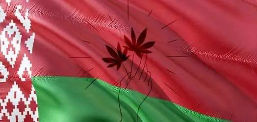 Активисты в Белоруси объявили голодовку против строгой криминализации марихуаны