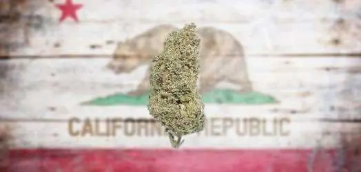 Племена, отрезанные от легального рынка Калифорнии, создадут свою систему производства конопли