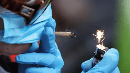 Как в странах с легалайзом отмечали праздник 4/20