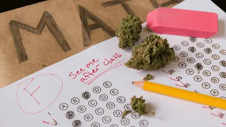 Как различные формы каннабиса влияют на память: исследование