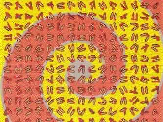 Стартап из Сан-Франциско уволил гендиректора из-за микродозинга ЛСД