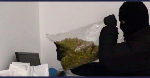 В Британии музыкант бесплатно развозит марихуану для медработников