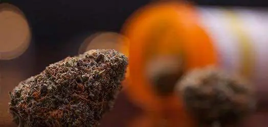 Группа активистов в США подаёт судебную жалобу на церковь Мормонов за их попытку саботировать легализацию в Юте