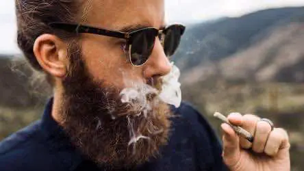 Исследователи нашли связь между курением марихуаны и способностью мужчин к зачатию