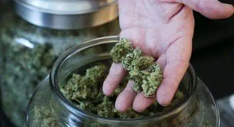 Издание High Times объявило об открытии своего собственного интернет ТВ канала