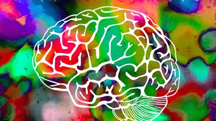 ЛСД может стать официальным лекарством от тревожного расстройства