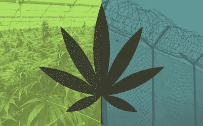 Нью-Йорк полностью аннулирует уголовные дела за хранение марихуаны