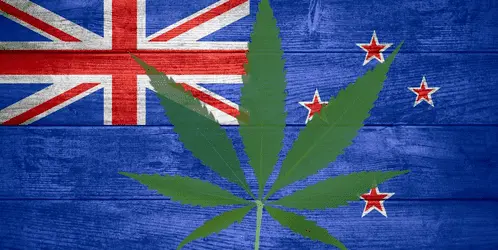 Легализация марихуаны в Новой Зеландии