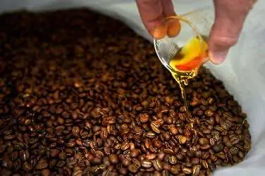 Колорадо готовится уровнять техническую коноплю в статусе с другими сельхозкультурами