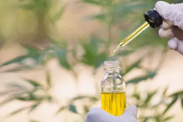 Ещё одно исследование показывает, что каннабис убивает раковые клетки