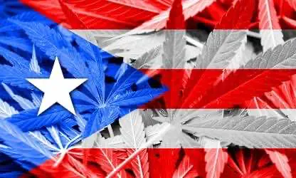 В Пуэрто-Рико проходит конференция терапевтического каннабизнеса