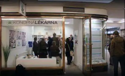 Чехия будет покрывать 90% расходов граждан на медицинсий каннабис 