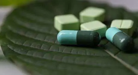 Применение кратома в медицине