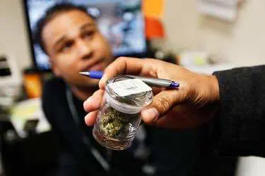 Заключена рекордная сделка на рынке каннабиса