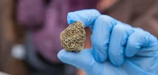 Найдено простое средство профилактики рака