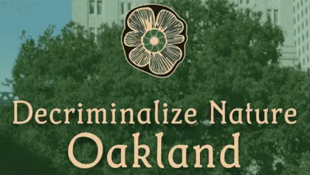 Декриминализация психоделиков в США набирает обороты