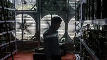 Журналист сравнил рентабельность биткоин-майнинга с выращиванием марихуаны