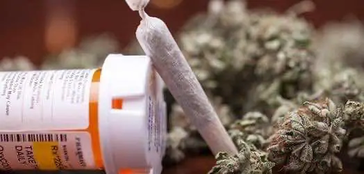 В Канаде крупная страховая компания согласилась покрывать затраты на приобретение медицинской конопли