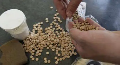 В Италии изъяли самую крупную партию амфетаминов в истории