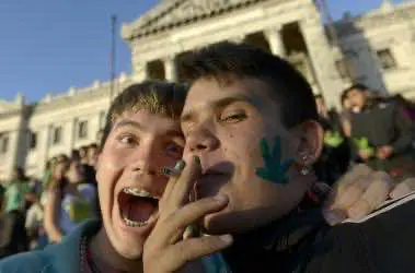 США: Легализация конопли не привела к росту её злоупотребления 