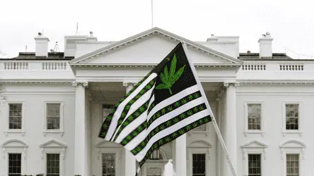 Конгресс США голосует за федеральную легализацию каннабиса