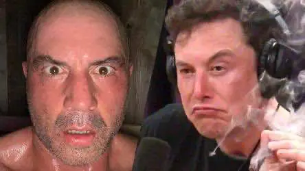 Джо Рогану пришлось просветить Илона Маска после того, как предприниматель сказал, что считает КБД фальшивкой