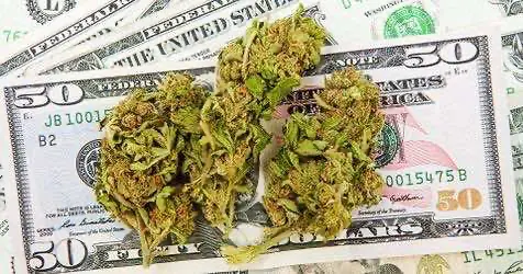 Несмотря на отказ властей США от банковских реформ, финансовые организации желают получить доступ к конопляному рынку