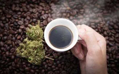 Учёные нашли связь между физиологическим воздействием кофе и марихуаны