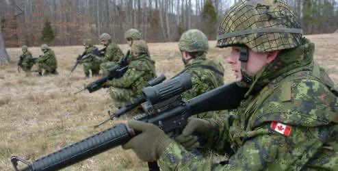 В Канаде женщина угостила своих сослуживцев выпечкой с травой