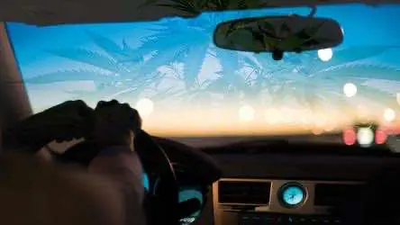 Учёные определили, через какое время после употребления каннабиса безопасно садиться за руль