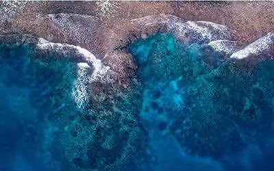 Островное государство легализовало терапевтическую коноплю