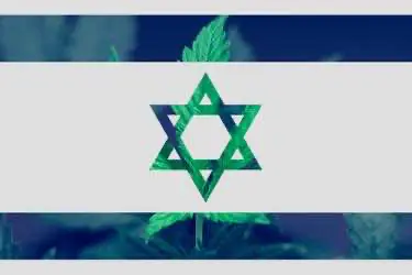 Израиль начинает экспорт медицинской марихуаны