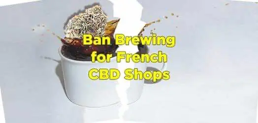 Новые конопляные кофейни Парижа и чем они отличаются от заведений Амстердама