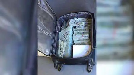 Болтал за рулём. Полиция случайно остановила авто с 1 млн долларов и наркотиками