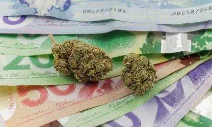 Житель Новой Шотландии объявил голодовку против высоких цен на легальную марихуану