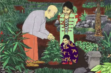 Переиздана книга о каннабисе «Это просто растение»