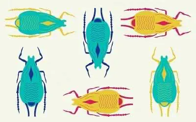 Любопытный случай вторжения конопляной тли в Орегон