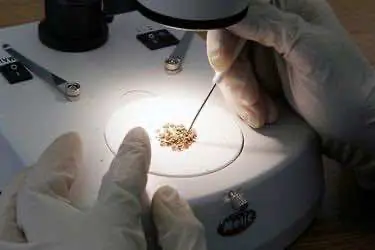 Татарских борцов с наркотиками осудили за похищение человека и контрабанду