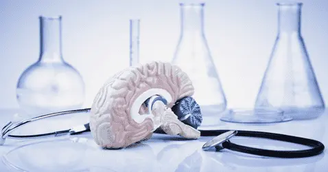 Австралийские активисты предлагают легализовать психоделическую терапию в связи с пандемией