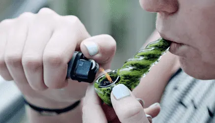 Во время пандемии американские студенты меньше пьют, но чаще употребляют траву и психоделики: опрос