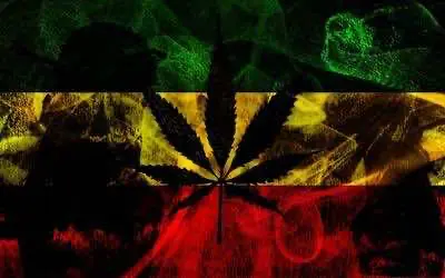 Как законно приобрести коноплю на Ямайке