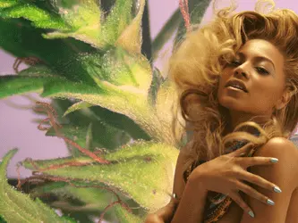 Певица Бейонсе откроет свою каннабис-ферму