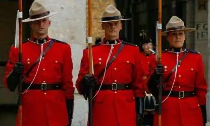 Правительство Канады организовало онлайн курсы для обучения полиции новым регулировкам после старта легализации